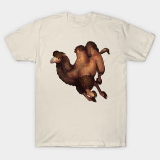 Cozy Bactrian Camel T-Shirt